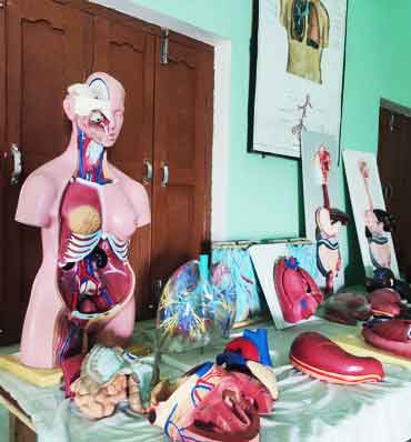 Anatomy / Pre-Clinical Science Lab